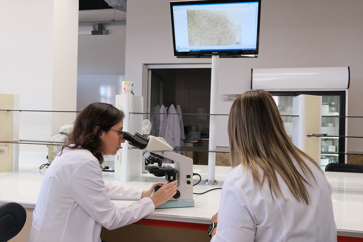 Hitit Üniversitesinde ilacın dozunu azaltıp faydasını artıracak "taşıyıcı sistem" geliştiriliyor