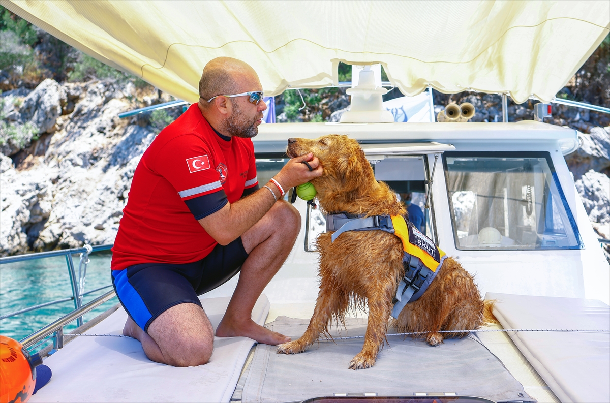 K9 köpeği Zeyna boğulma vakalarında cankurtaranlara destek oluyor