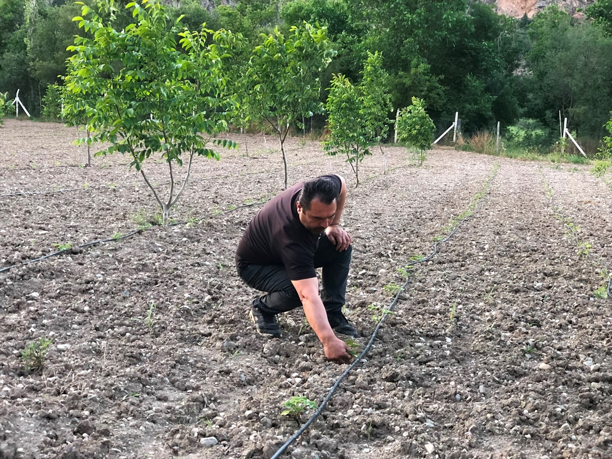 El emeğiyle kurduğu mesire alanında ziyaretçilerini ağırlıyor