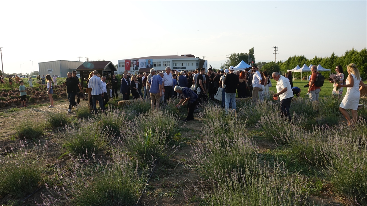 Balıkesir Aromaterapi Festivali başladı
