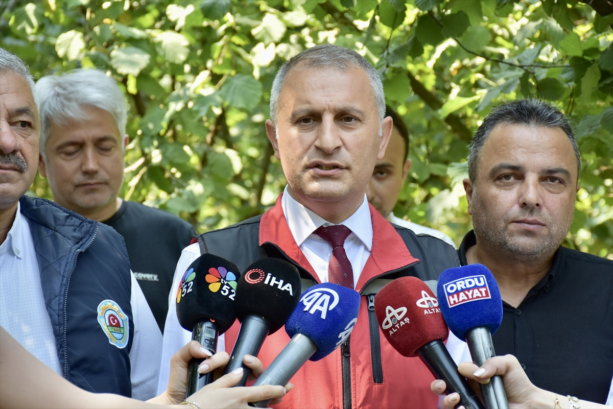 Ordu'da fındıkta tahmini rekolte tespit çalışmalarına başlandı