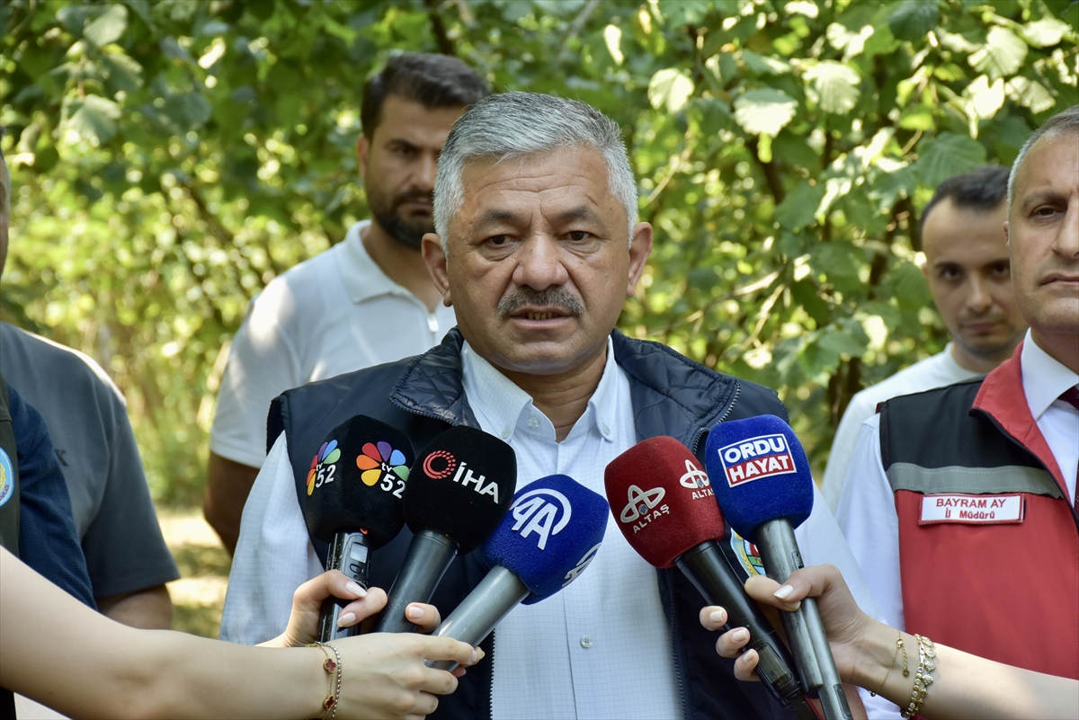 Ordu'da fındıkta tahmini rekolte tespit çalışmalarına başlandı