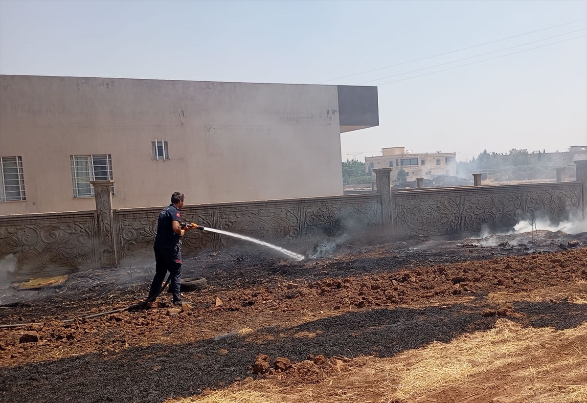 Mardin'de çıkan anız yangınına müdahale ediliyor