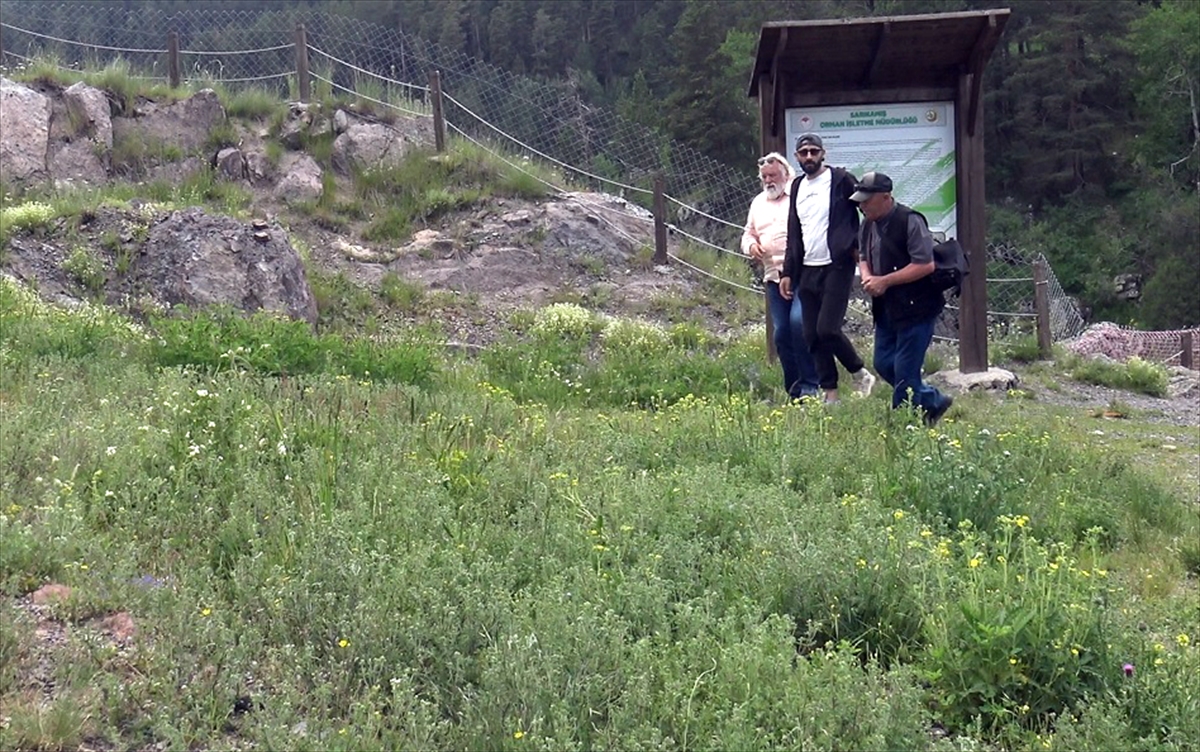 Sarıkamış'ın serin ormanları ziyaretçileri ağırlıyor
