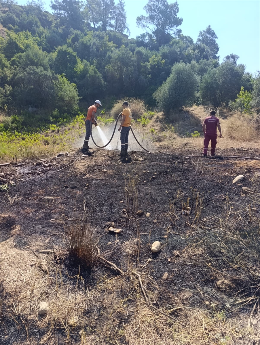 Antalya'da orman yangını söndürüldü