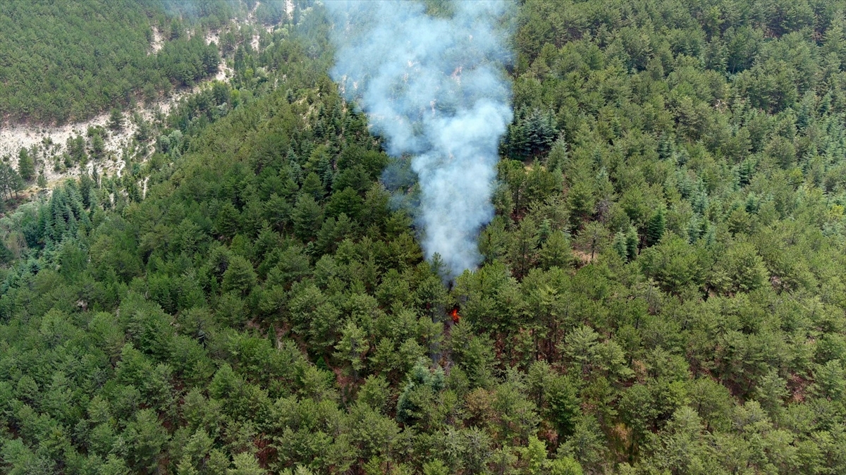 GÜNCELLEME - Kütahya'da çıkan orman yangını söndürüldü