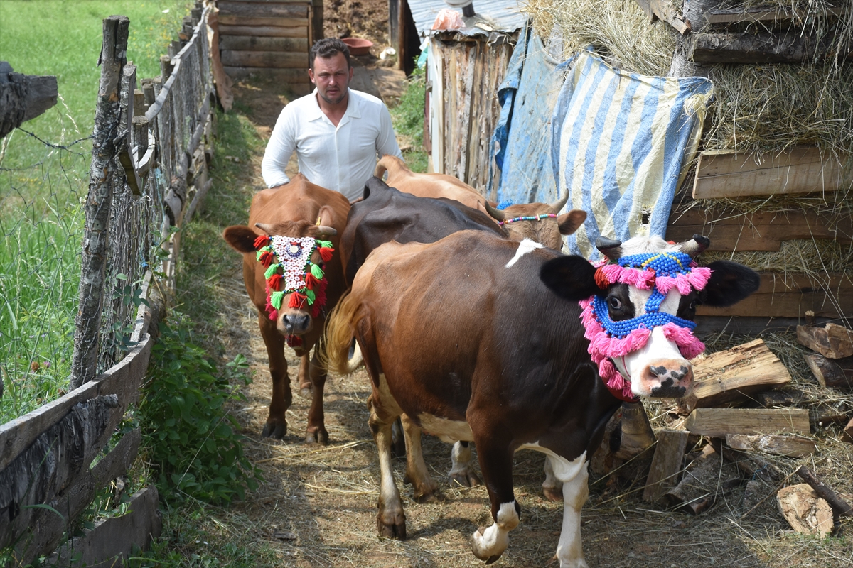 Gümüşhane'de yayla göçü başladı