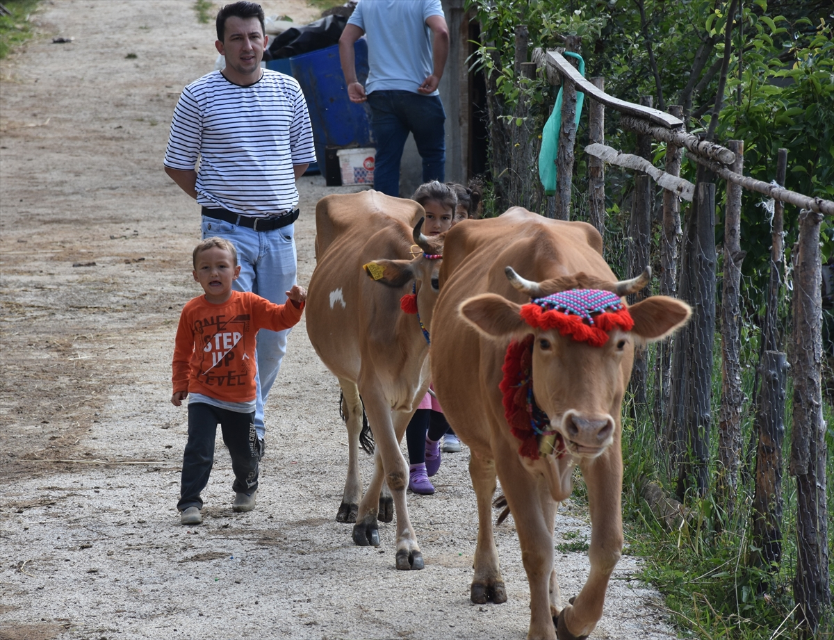 Gümüşhane'de yayla göçü başladı