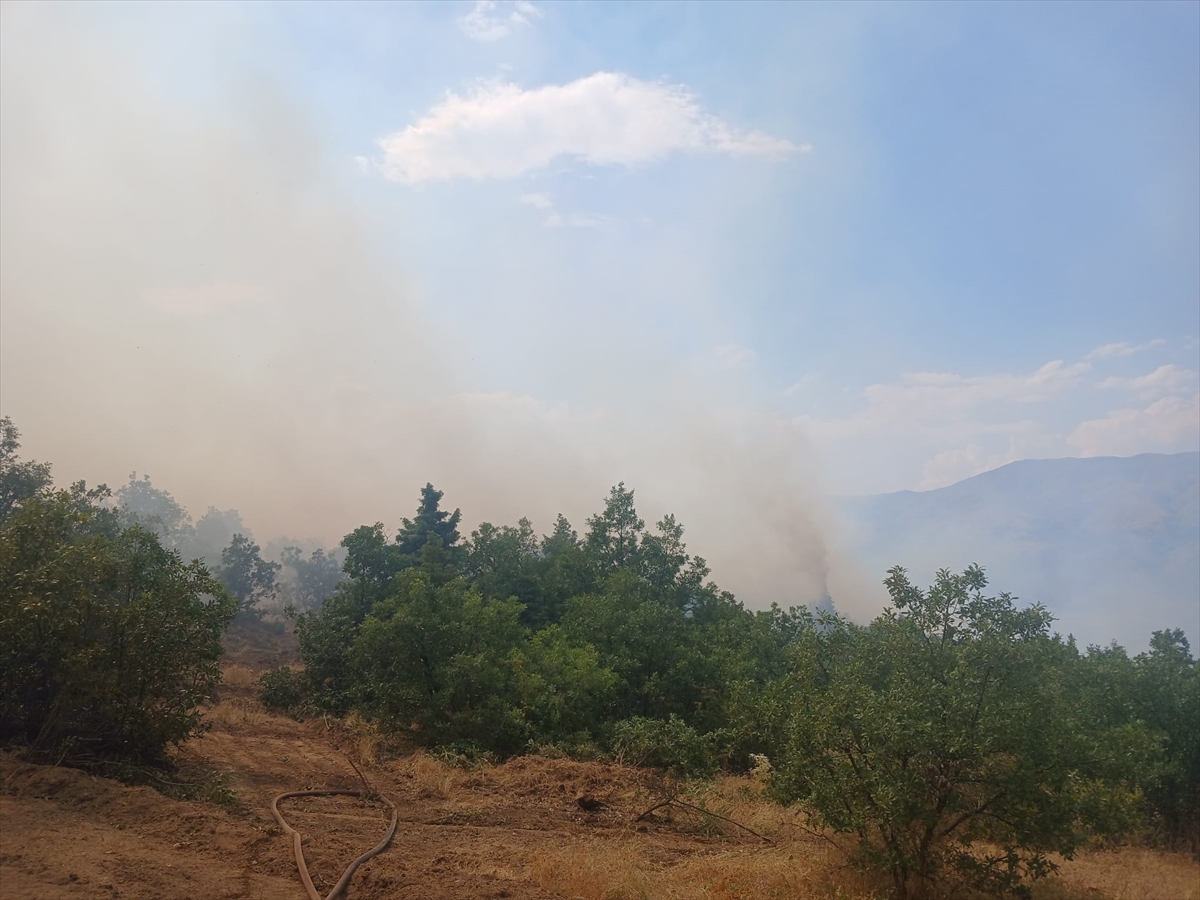 Malatya'nın Pütürge ilçesindeki orman yangını söndürüldü