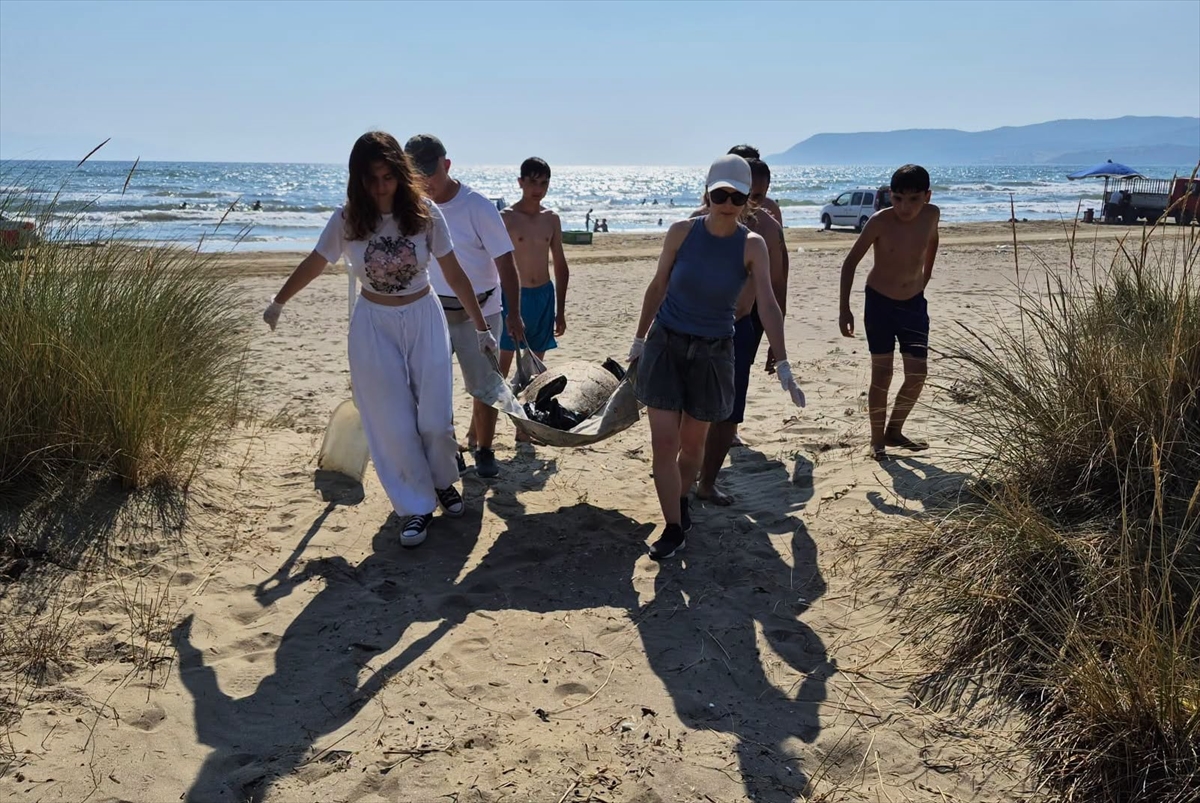 3 Caretta Caretta Sahilde Ölü Bulundu