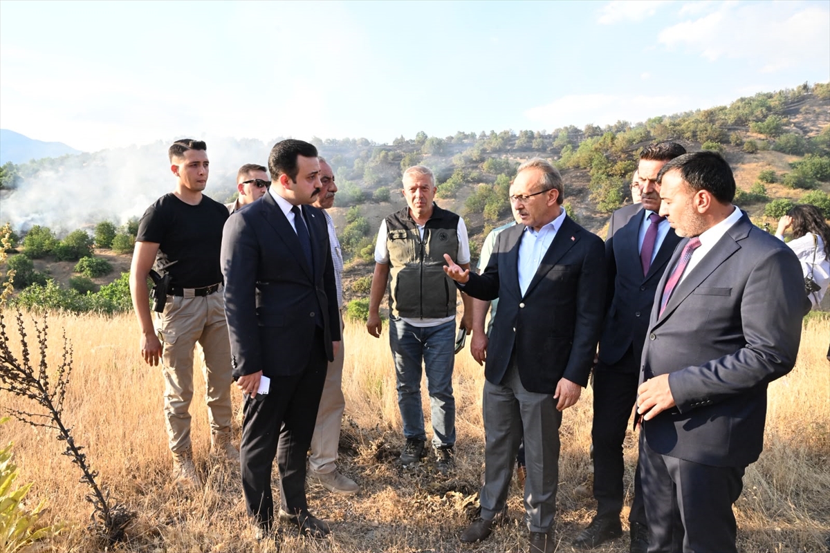 Malatya'nın Pütürge ilçesindeki orman yangını söndürüldü