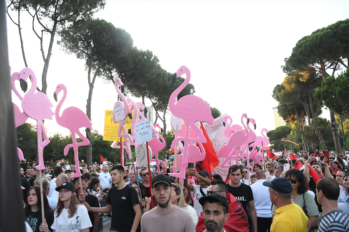 Arnavutluk'ta Zvernec'teki turizm projesine karşı gösteriler sürüyor