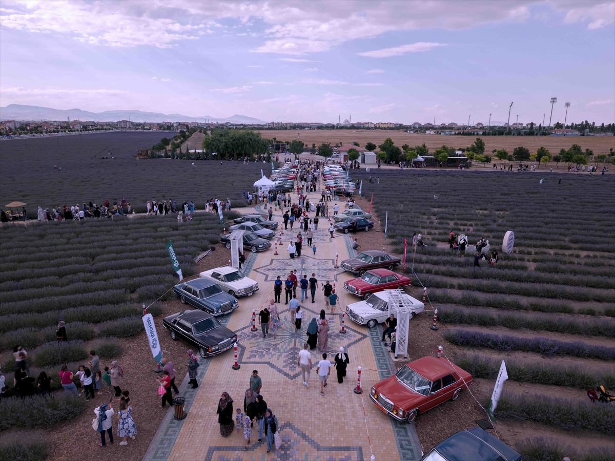 Türkiye'nin en büyük lavanta bahçesinde festival heyecanı başladı