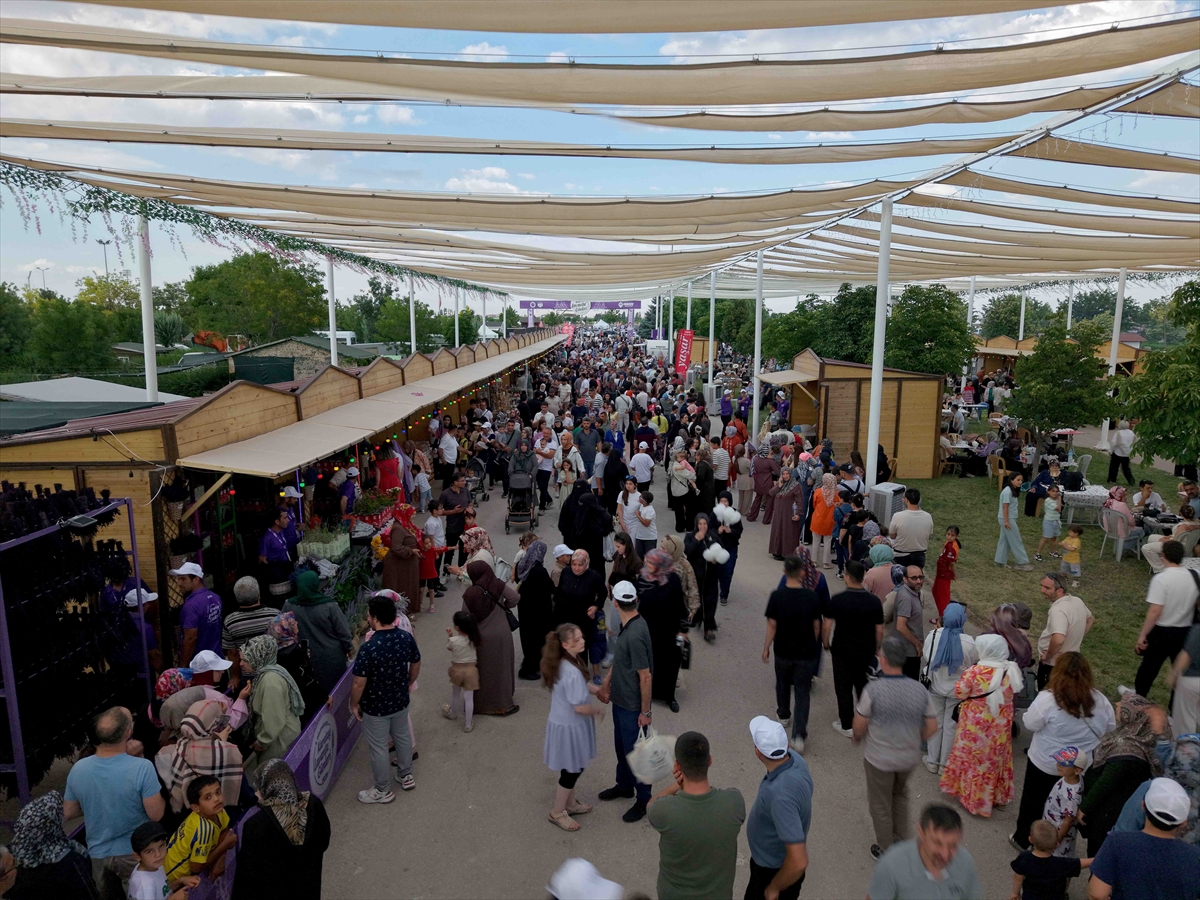 Türkiye'nin en büyük lavanta bahçesinde festival heyecanı başladı