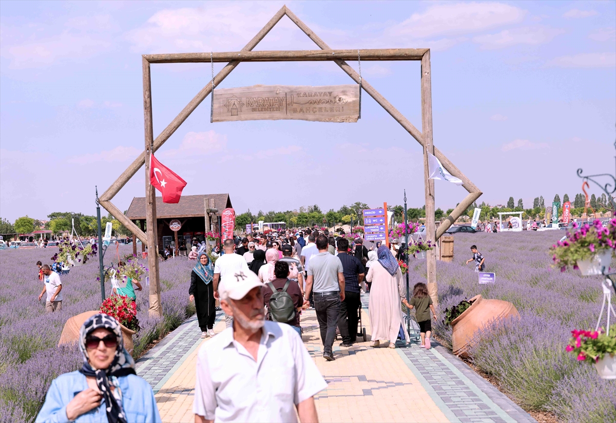 Türkiye'nin en büyük lavanta bahçesinde festival heyecanı başladı