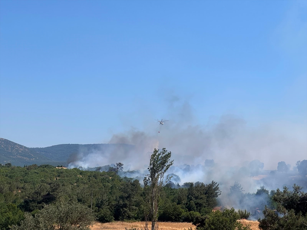Altıeylül'de orman yangınına müdahale ediliyor