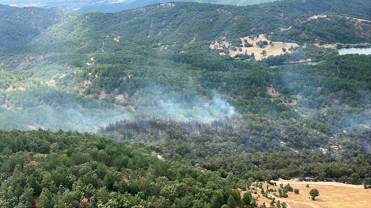 Kütahya'da orman yangını kontrol altına alındı