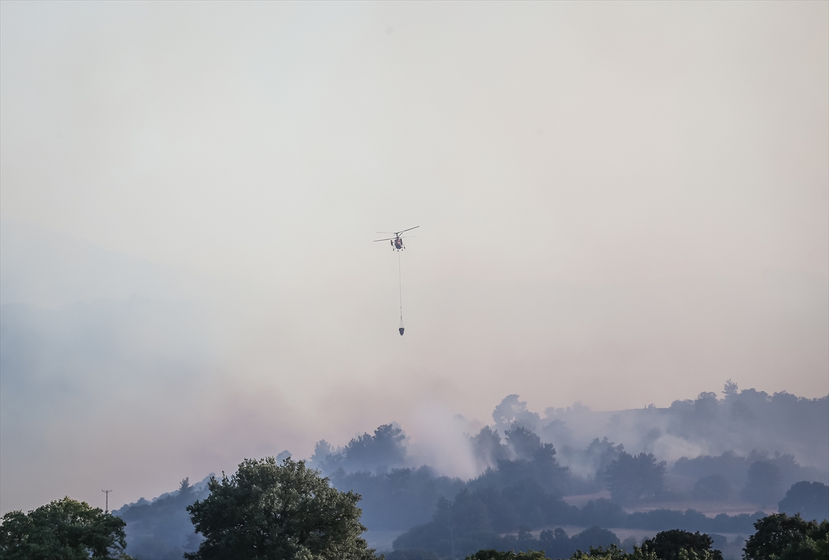 Balıkesir'in Altıeylül ilçesindeki orman yangını büyük ölçüde kontrol altına alındı