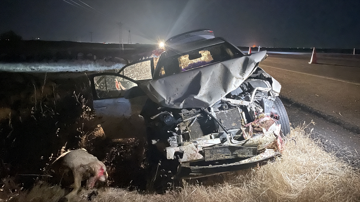Şanlıurfa'da koyun sürüsüne otomobil çarptı: 3 yaralı
