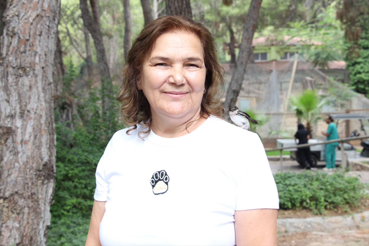 Yuvadan düşen kuş yavruları özenle beslenip doğal yaşama hazırlanıyor