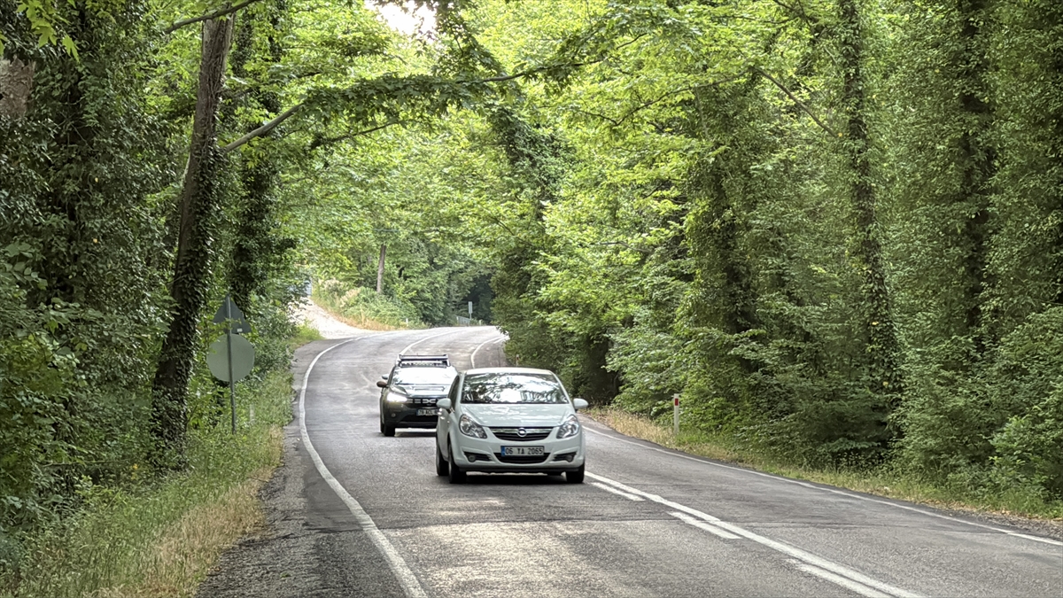 Safranbolu'nun ağaç tünelli yolları doğa turizmi sunuyor