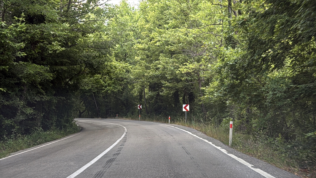 Safranbolu'nun ağaç tünelli yolları doğa turizmi sunuyor