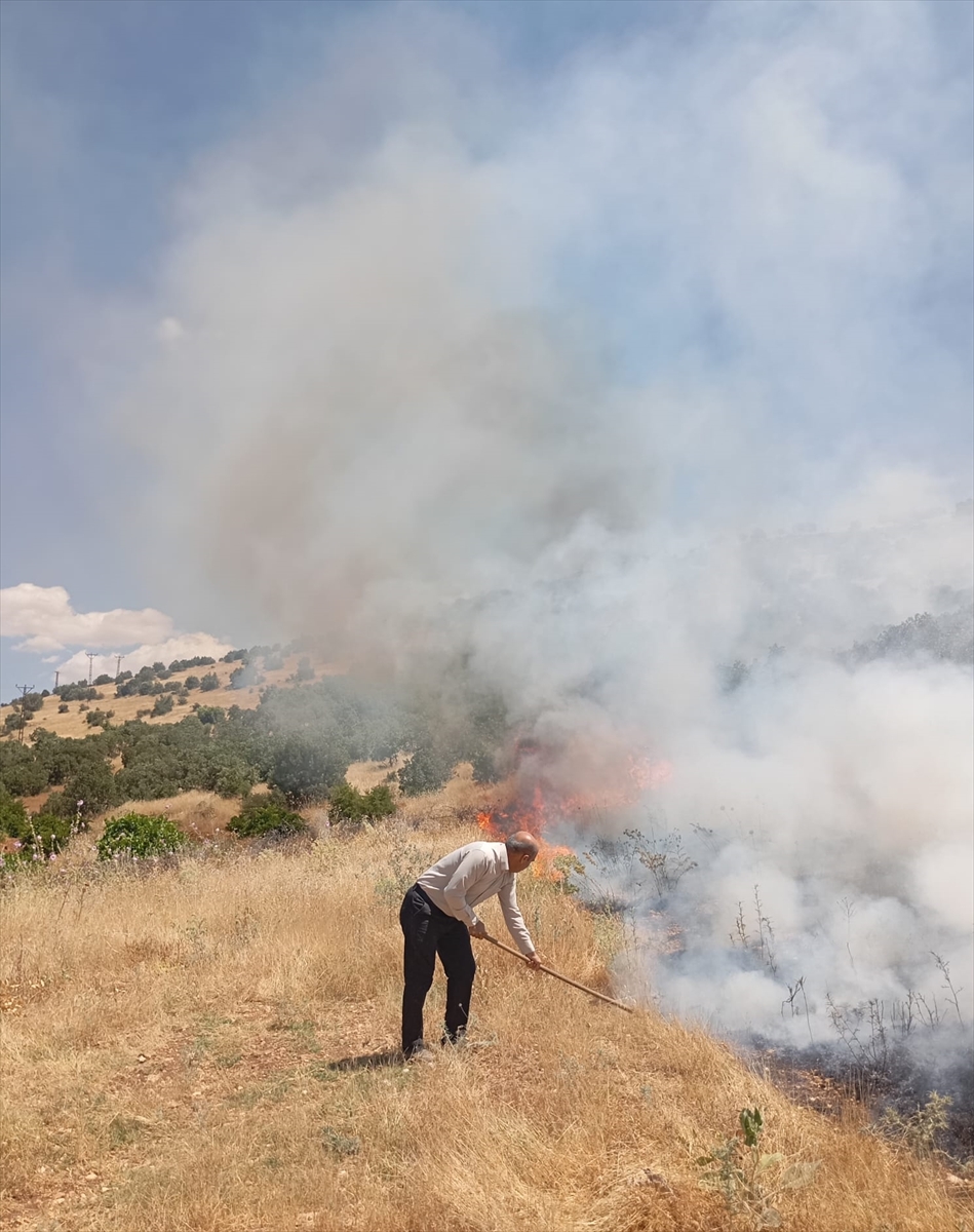 Mardin'de orman yangınına müdahale sürüyor