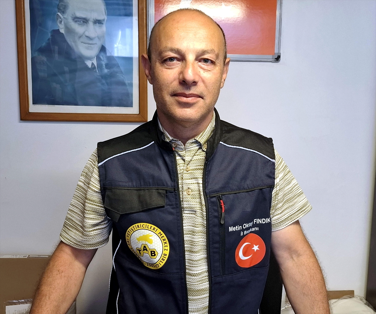 Sinop'ta kestane balı için iyi sezon bekleniyor