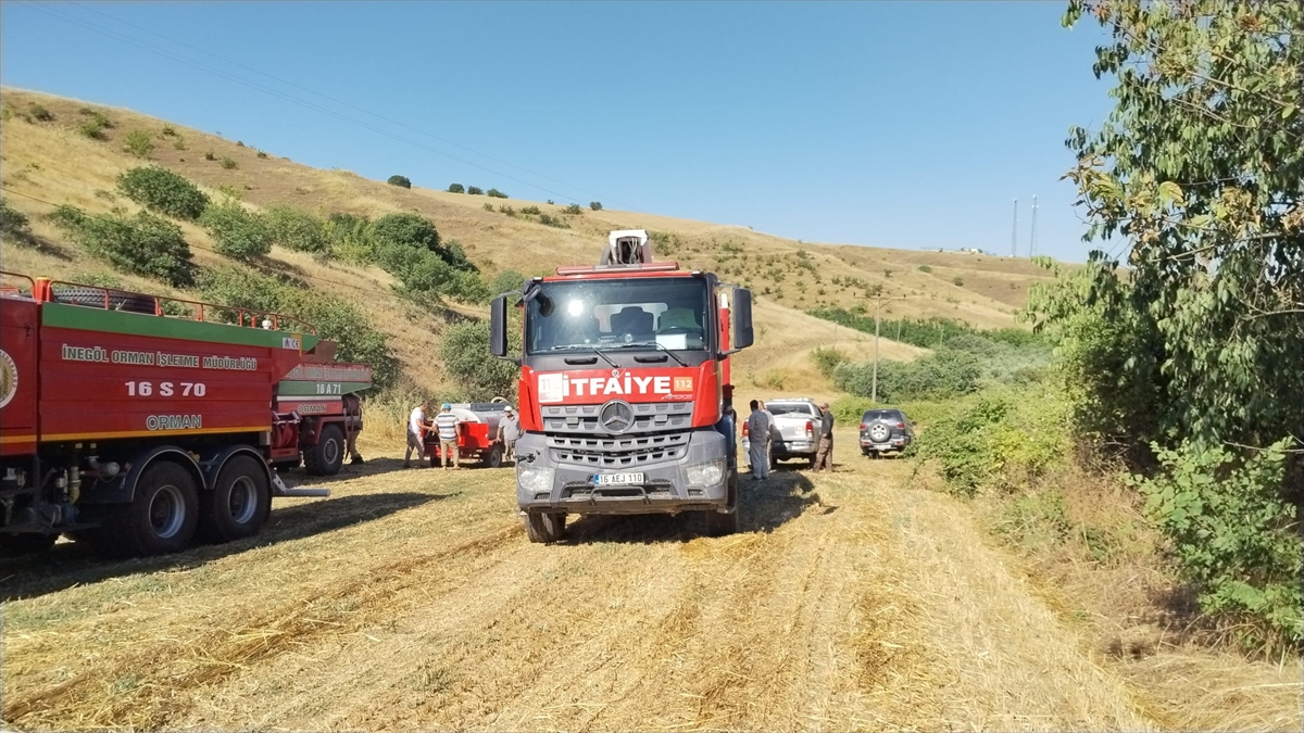 Bursa'da merada çıkan yangın söndürüldü