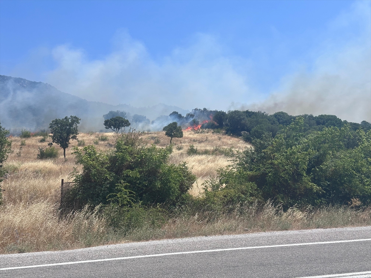 Çanakkale'de ormanlık alanda çıkan yangına müdahale ediliyor