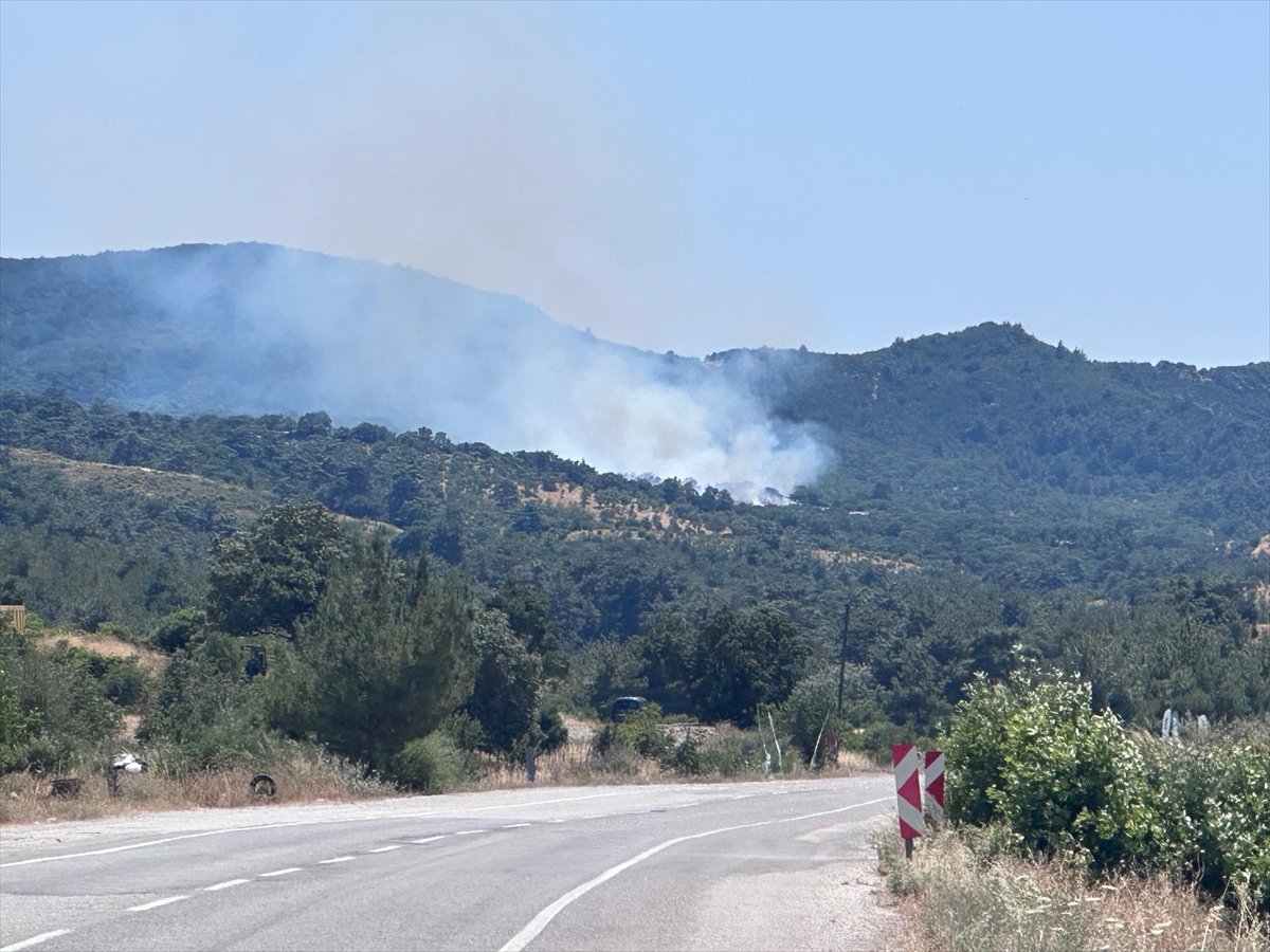 Çanakkale'de ormanlık alanda çıkan yangına müdahale ediliyor
