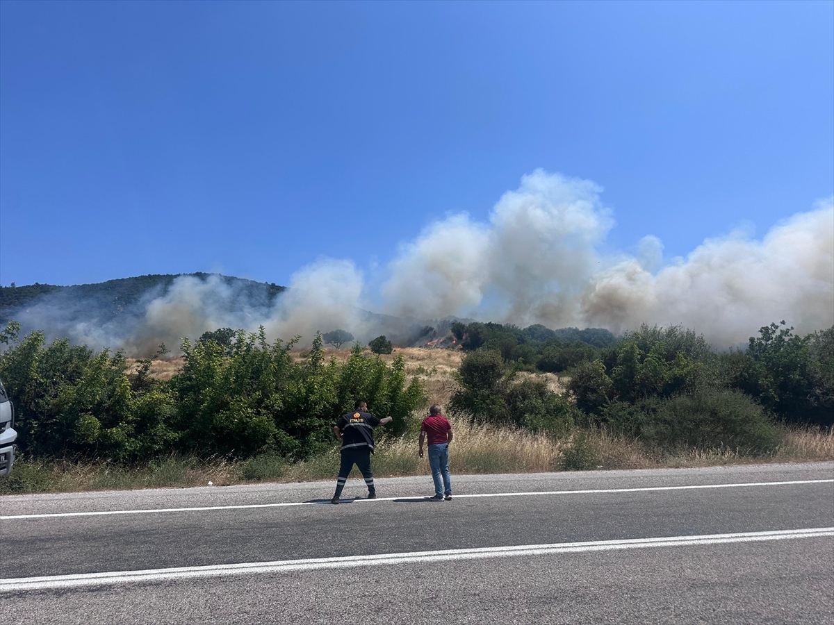 Çanakkale'de ormanlık alanda çıkan yangına müdahale ediliyor