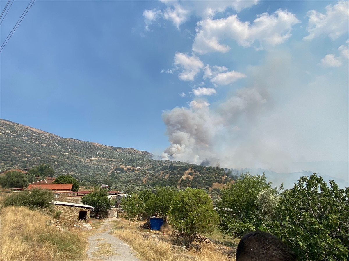 GÜNCELLEME - Aydın'da zeytinlik ve otluk alanda yangın çıktı