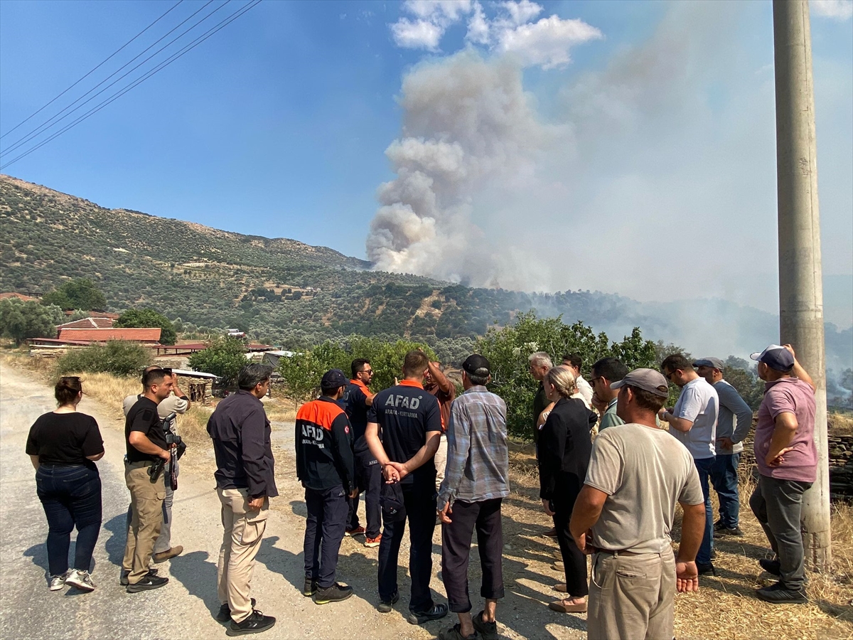 GÜNCELLEME - Aydın'da zeytinlik ve otluk alanda yangın çıktı
