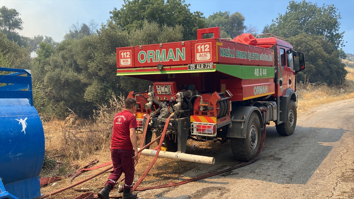 GÜNCELLEME - Aydın'da zeytinlik ve otluk alanda yangın çıktı