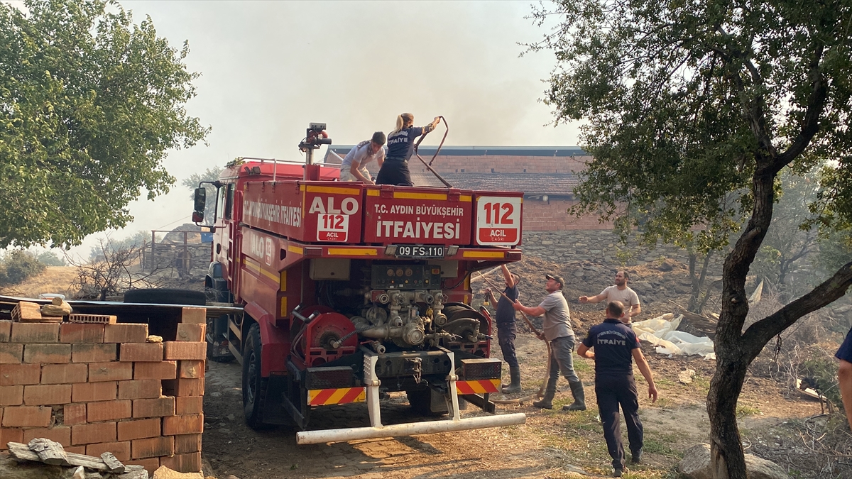 GÜNCELLEME 2 - Aydın'da zeytinlik ve otluk alanda çıkan yangın kontrol altına alındı