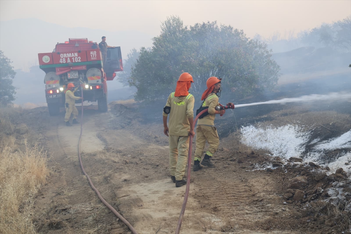 GÜNCELLEME 2 - Aydın'da zeytinlik ve otluk alanda çıkan yangın kontrol altına alındı