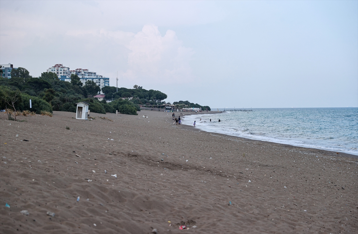 Anaç deniz kaplumbağaları Mersin sahillerine yumurta bırakmaya başladı