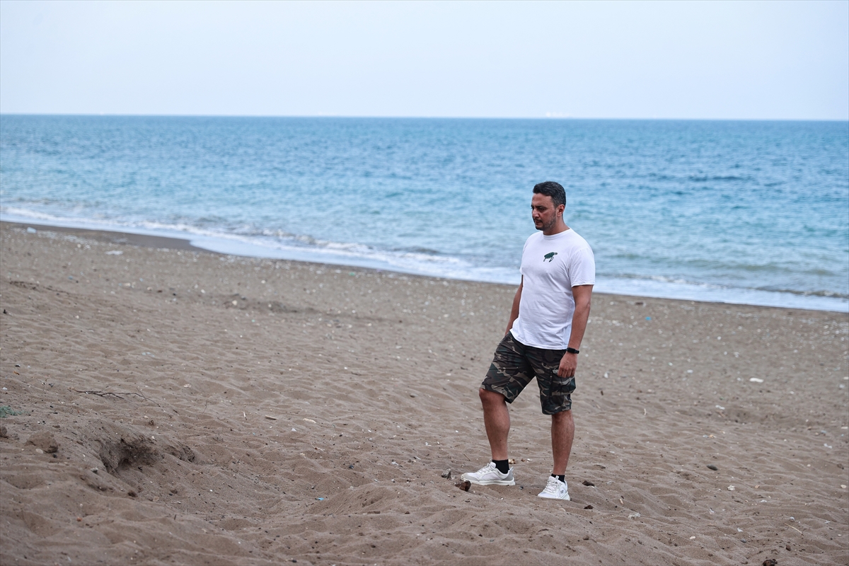 Anaç deniz kaplumbağaları Mersin sahillerine yumurta bırakmaya başladı