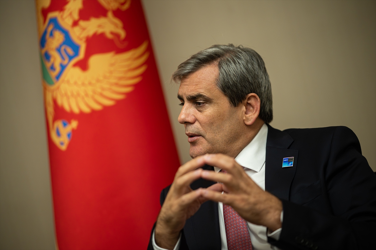 NATO ANKARA ZİRVESİ - Karadağ Dışişleri Bakanı İbrahimovic, zirvenin çok doğru bir zaman ve ülkede yapıldığını söyledi: