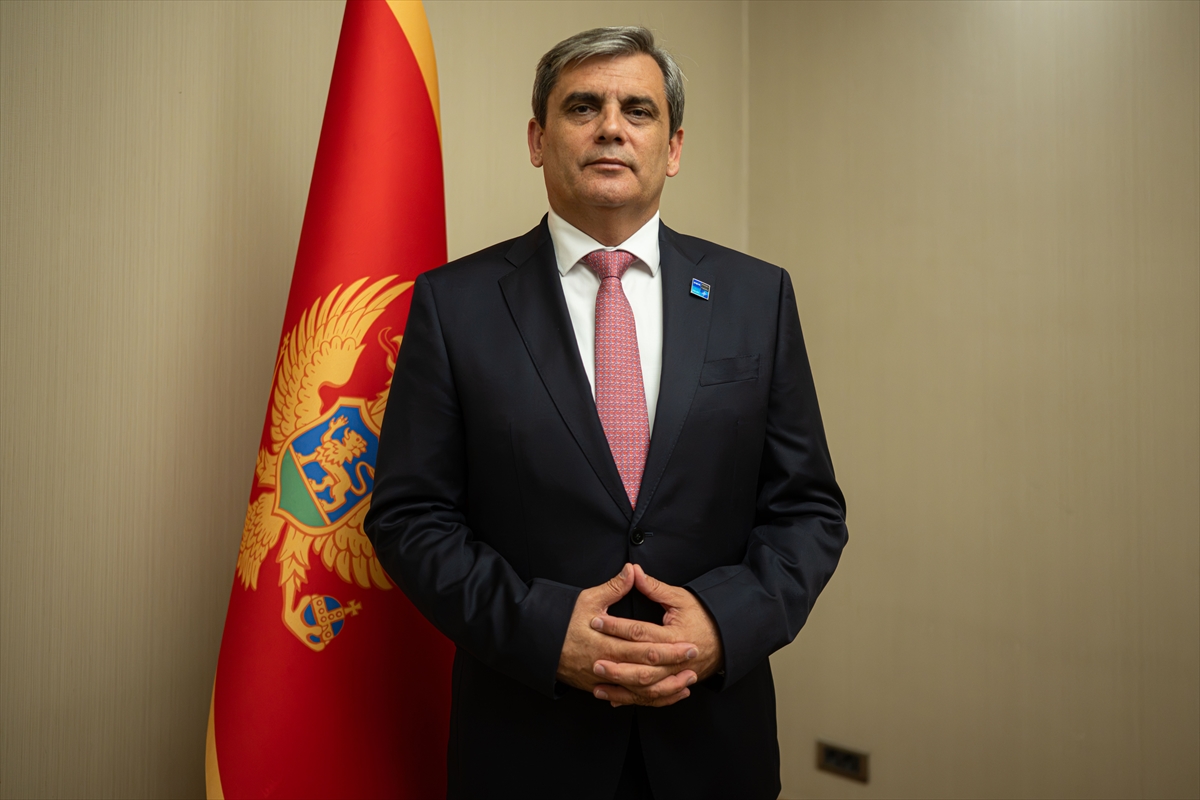 NATO ANKARA ZİRVESİ - Karadağ Dışişleri Bakanı İbrahimovic, zirvenin çok doğru bir zaman ve ülkede yapıldığını söyledi: