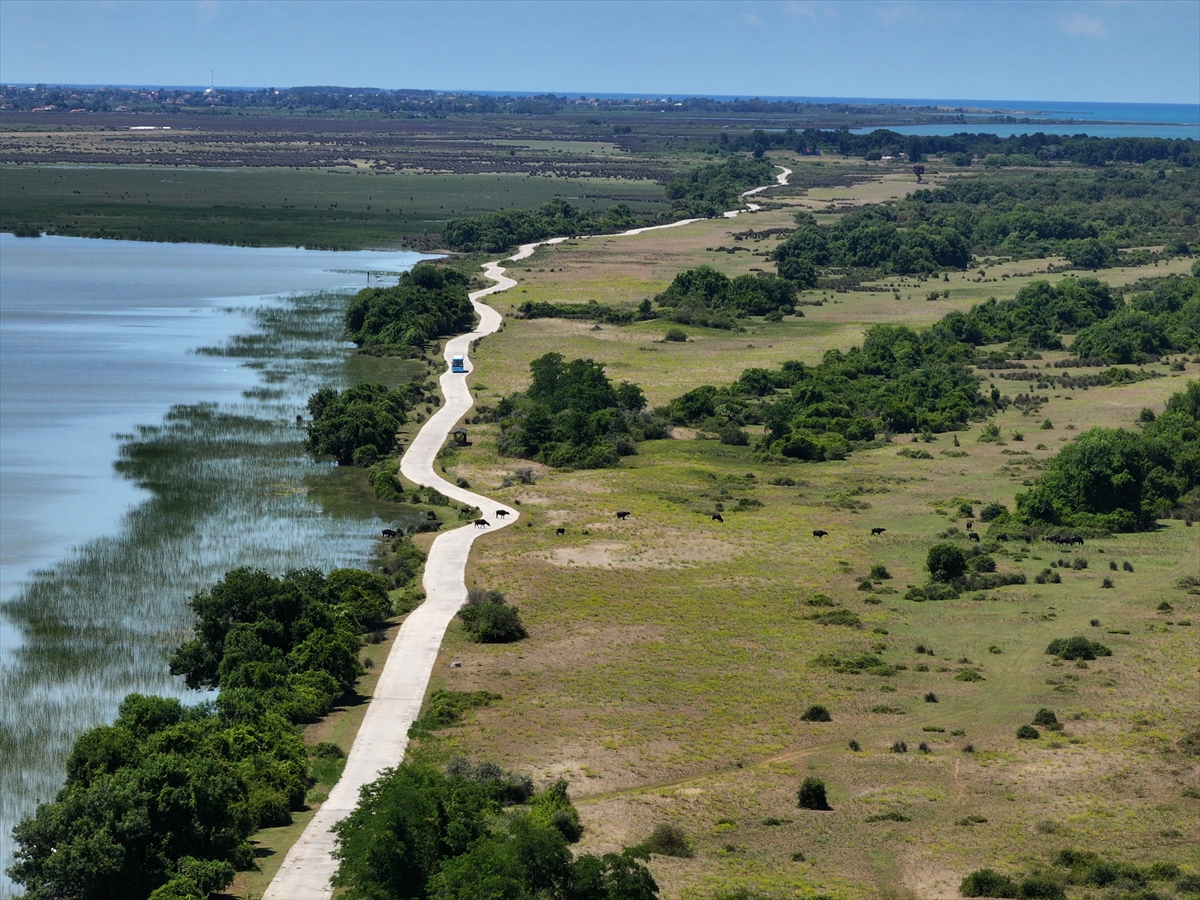 Kızılırmak Deltası'nda biyolojik çeşitliliği korumak için 11 projeye destek veriliyor