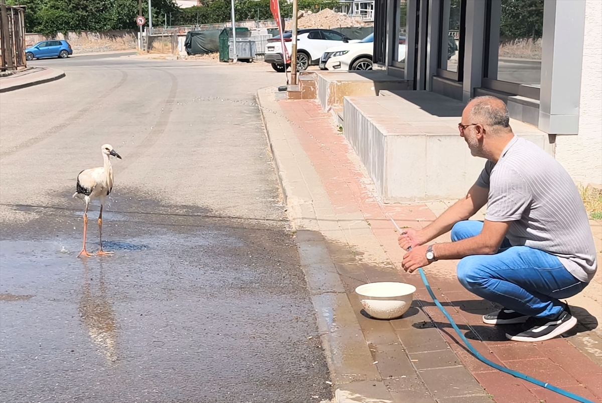 Bingöl'de yuvasından uçmaya çalışırken düşen leylek yavrusu itfaiye ekiplerince yerine konuldu