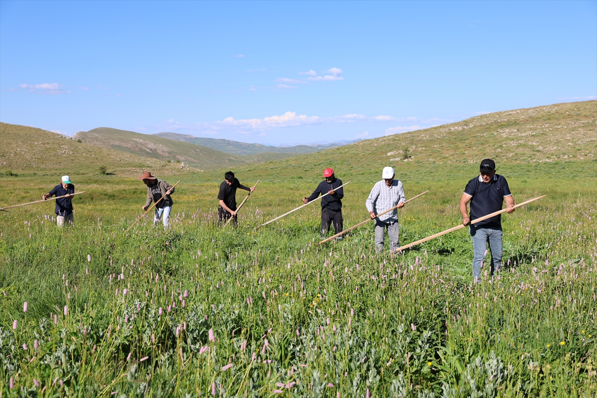 Bayburt'ta çiftçiler tırpanla ot biçiyor