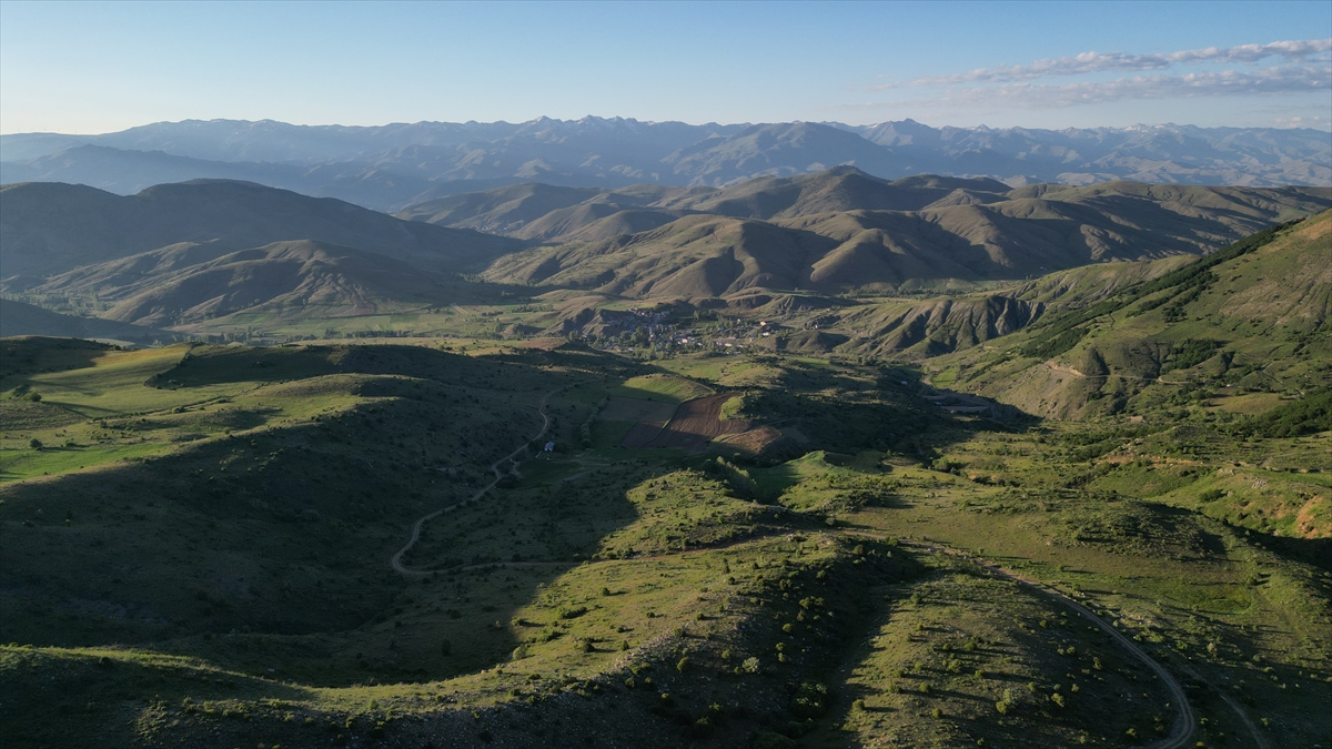Bayburt'ta çiftçiler tırpanla ot biçiyor