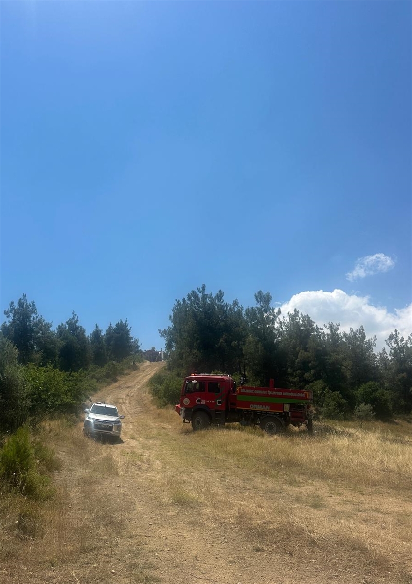 Bilecik'te Yangın Kontrol Altına Alındı