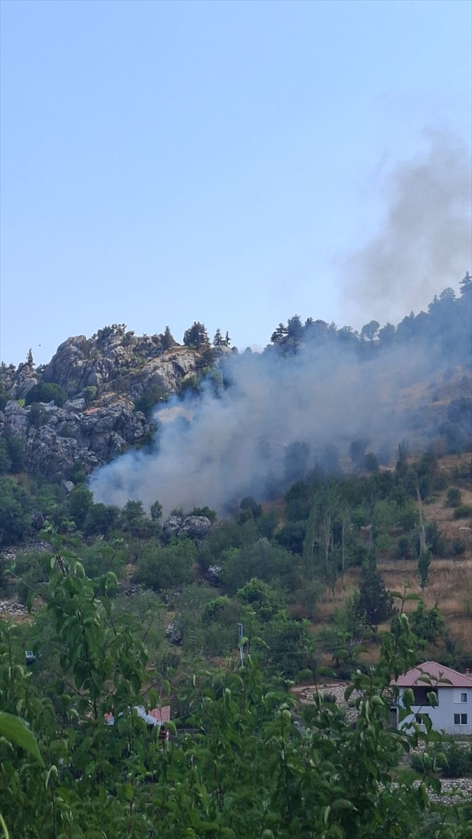 Alanya'da zirai alanda yangın söndürüldü