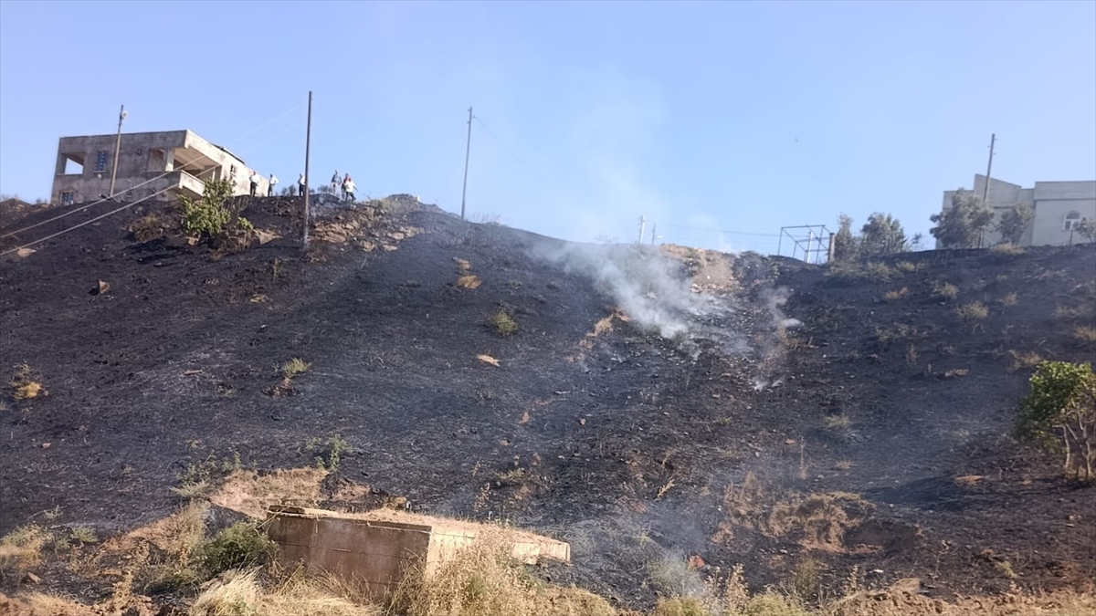 Siirt'te otluk alanda yangın söndürüldü