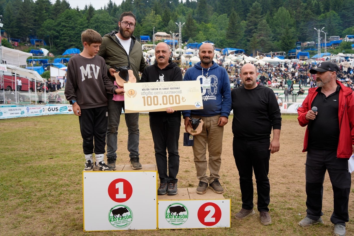 Artvin Festivali'nde boğa güreşleri nefes kesti