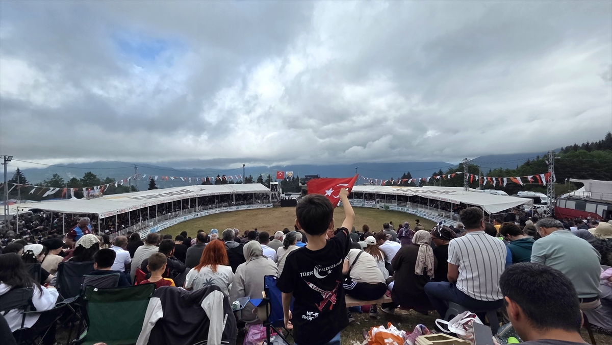 Artvin Festivali'nde boğa güreşleri nefes kesti